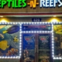 Reptiles N Reefs