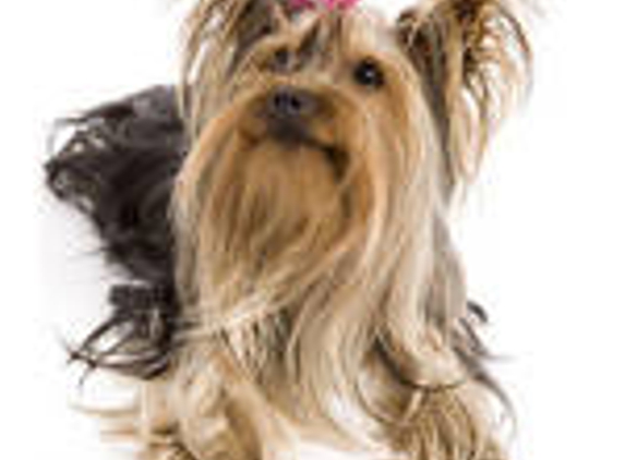 Ashridge Cattery & Kennels - Treeby, WA