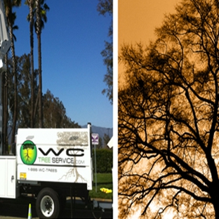 WC Tree Service - Temecula, CA