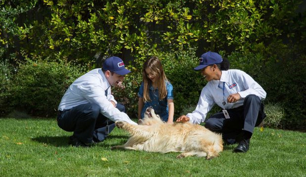 Clark Pest Control - San Jose, CA