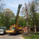 Akins-Alford's Tree Care - Stump Removal & Grinding