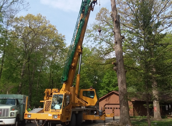 Akins-Alford's Tree Care - West Lafayette, IN