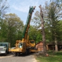 Akins-Alford's Tree Care