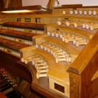 Professional Organ Consultants