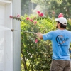 Blast Off Pressure Washing gallery