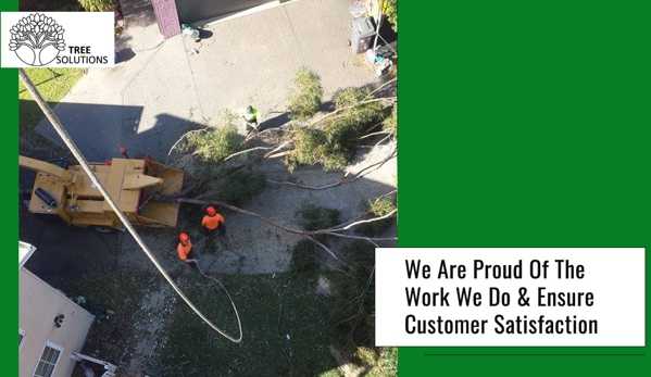 Tree Solutions - Rainbow Flat, NSW. We Are Proud Of The Work We Do & Ensure Customer Satisfaction