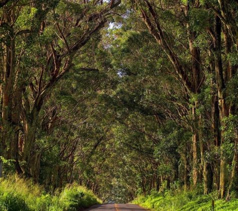 Kauai Transportation Services - Princeville, HI