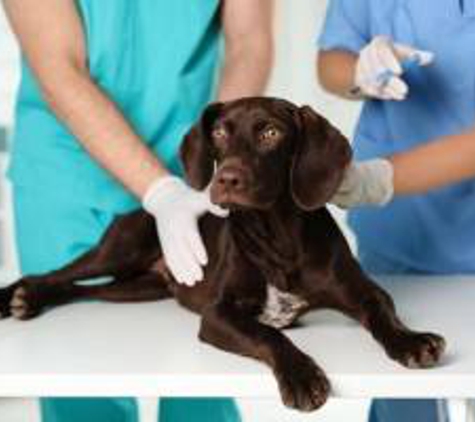 The Animal Hospital at the Crossroads - Carmel, CA