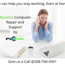 PcTune Computer Repair in Post Falls - Computer System Designers & Consultants