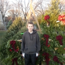 South Boston Christmas tree and wreaths  (BROOKSIES) - Christmas Trees
