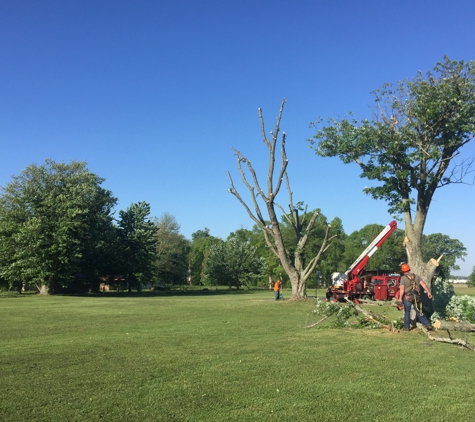 Robs Tree Service - Austin, IN