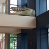 University of Florida Welcome gallery