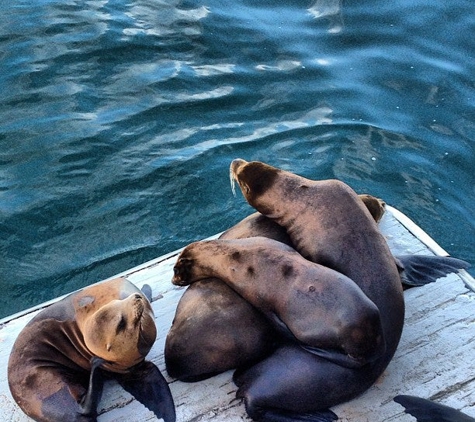 Santa Cruz Walking Tours - Santa Cruz, CA