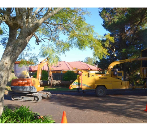Treebiz Tree Services
