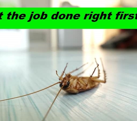 Camden & Narellan Pest Control. We got the job right first time