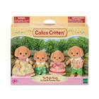 BrainyZoo Toys