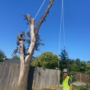 KW Reynolds - Stump Removal & Grinding