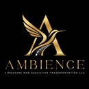 Ambience Limousine and Executive Transportation - Public Transportation