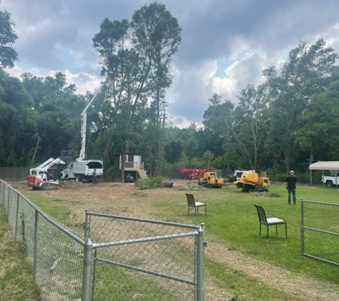 Economy Tree Service