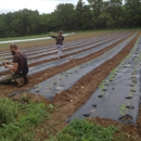 Asbury Village Farm - Farms