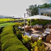 Mumm Napa gallery