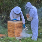 Windswept Hill Apiary