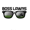 Boss Lawns gallery
