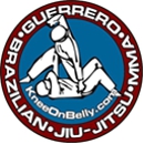 Guerrero Brazilian Jiu-Jitsu - Martial Arts Instruction