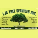 LJR Tree Services Inc - Arborists