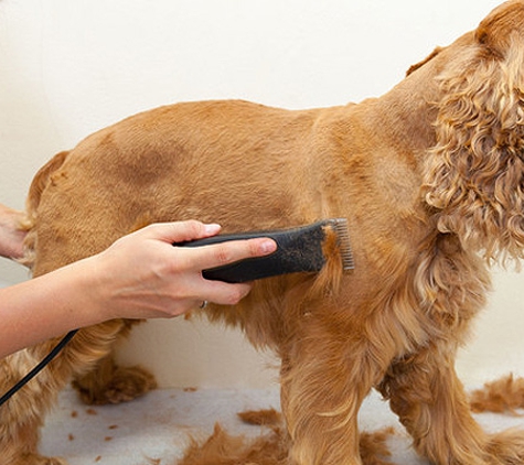 Groomingdales - Mandan, ND. Pet Groomer