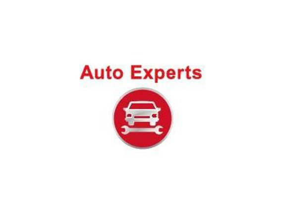 Auto Experts - Oak Park, IL
