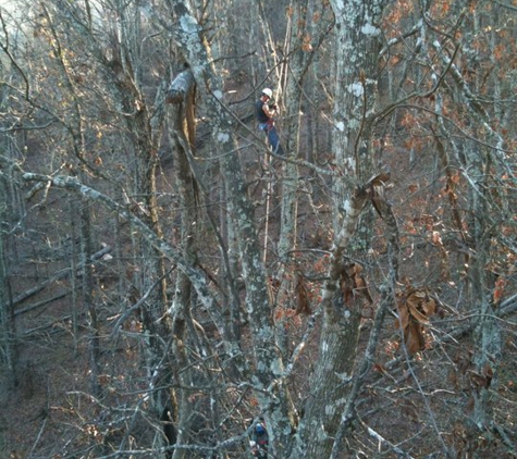 Tree Top Tree Trimming - Batavia, OH