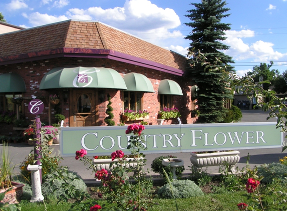 Country Flower - Bozeman, MT