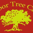 Arbor Tree Care - Tree Service