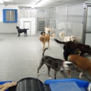 Anderson Township Family Pet Center