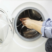 Gallery Image Number 2