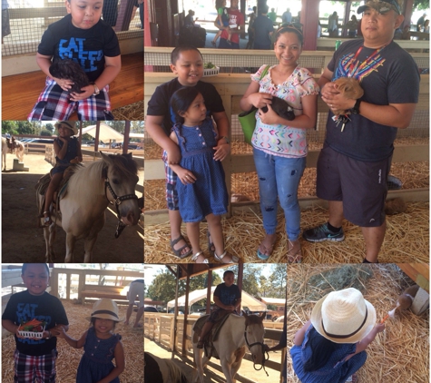 Zoomars Petting Zoo - San Juan Capistrano, CA