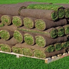 Yazoo Sod, LLC