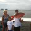 Saltwater Fishing Charters gallery