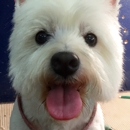 Arbuckle Pet Resort - Pet Specialty Services