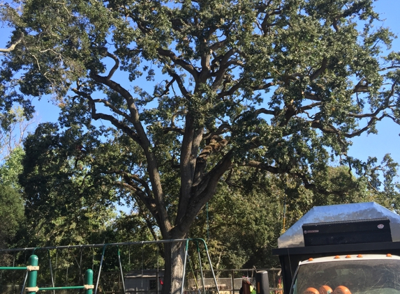 Llamas Tree Service - Walnut Creek, CA