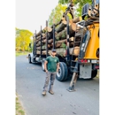 ARBORPRO TREE EXPERTS LLC - Tree Service