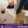 Feet Up Carpet Cleaning DC gallery
