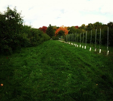 Shelburne Orchards - Shelburne, VT