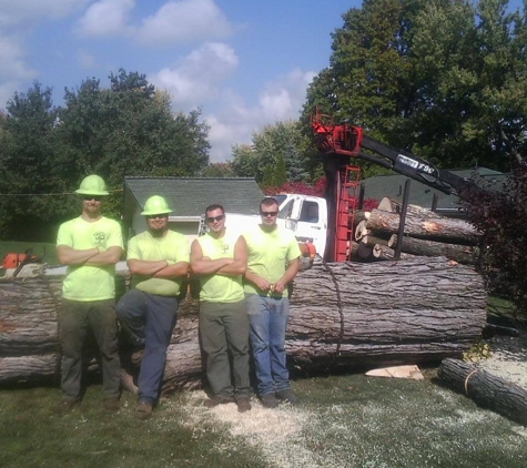 Brown's Tree Service - Connellsville, PA