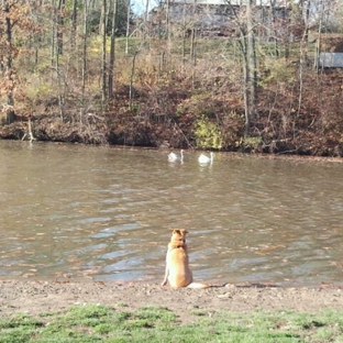 Mill Pond Park - Saline, MI