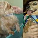 Scott's K-9 Cutz - Pet Services