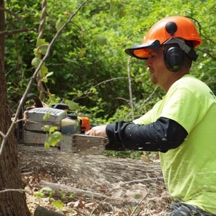 Northeast Tree Services - Stratford, CT