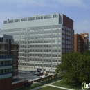 Ohio State Obstetrics and Gynecology Kenny Road - Physicians & Surgeons, Obstetrics And Gynecology