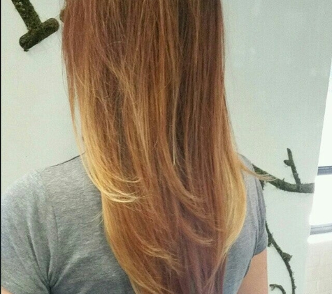 Austral Salon - Columbia, SC